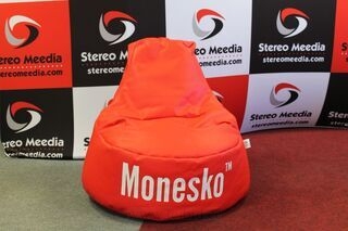 Customized bean bag Monesko